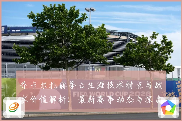 乔卡尔扎赫拳击生涯技术特点与战术价值解析：最新赛事动态与深度分析
